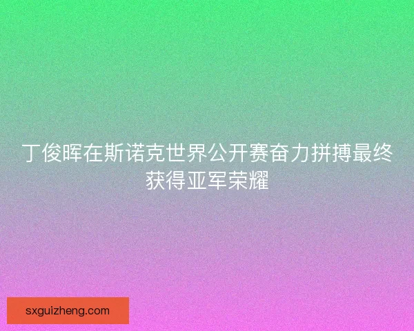 丁俊晖在斯诺克世界公开赛奋力拼搏最终获得亚军荣耀