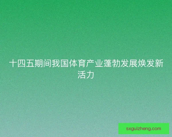 十四五期间我国体育产业蓬勃发展焕发新活力 十四五期间我国体育产业蓬勃发展焕发新活力