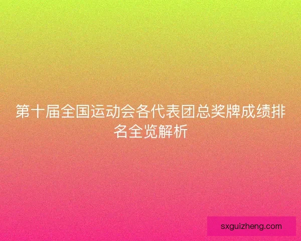 第十届全国运动会各代表团总奖牌成绩排名全览解析