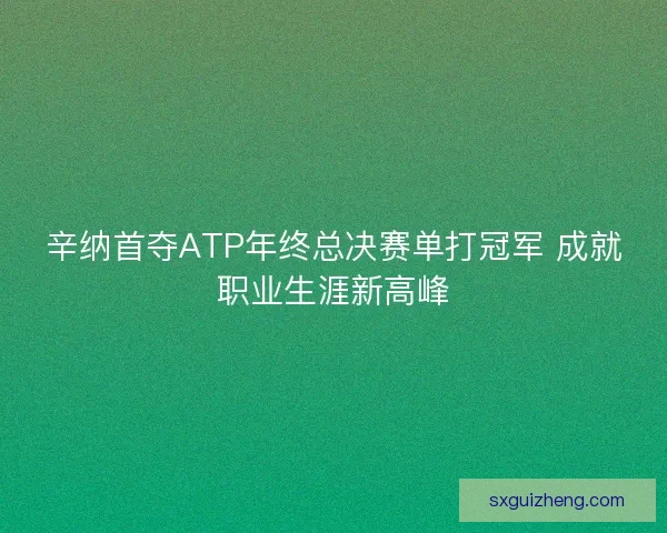 辛纳首夺ATP年终总决赛单打冠军 成就职业生涯新高峰